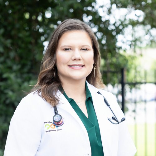 Caylin Potter, DVM, Fear Free™ Certified,